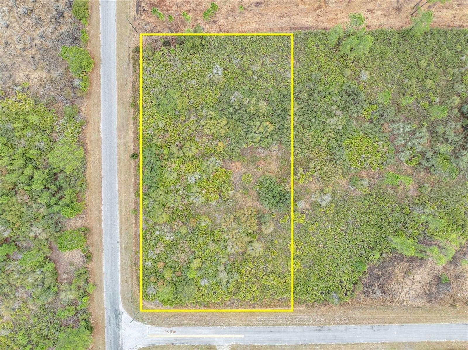 1 Acre of Residential Land for Sale in Eustis, Florida