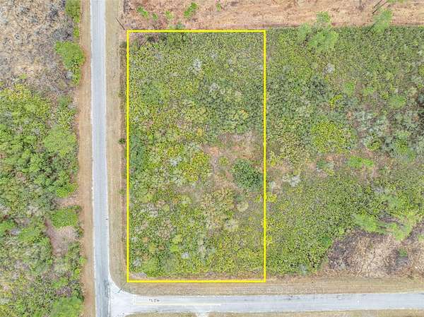 1 Acre of Residential Land for Sale in Eustis, Florida