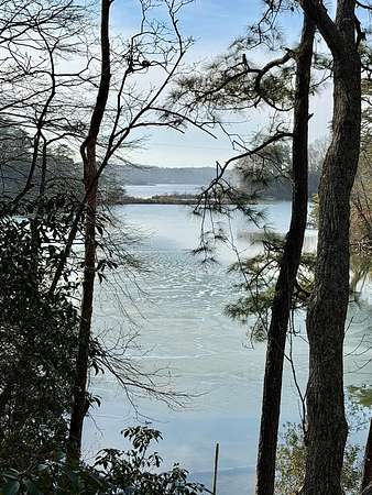 1.28 Acres of Residential Land for Sale in Burgess, Virginia