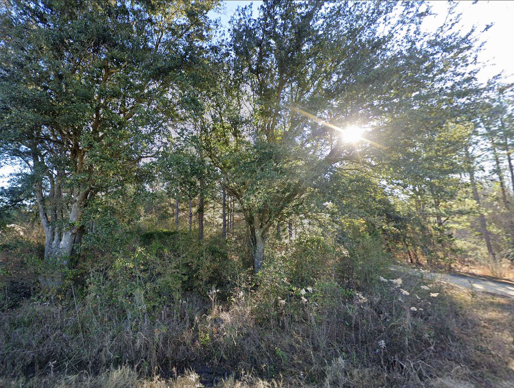 2.17 Acres of Residential Land for Sale in Sylvester, Georgia