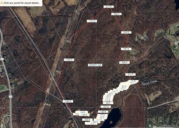 33.7 Acres of Commercial Land for Sale in Wappingers Falls, New York