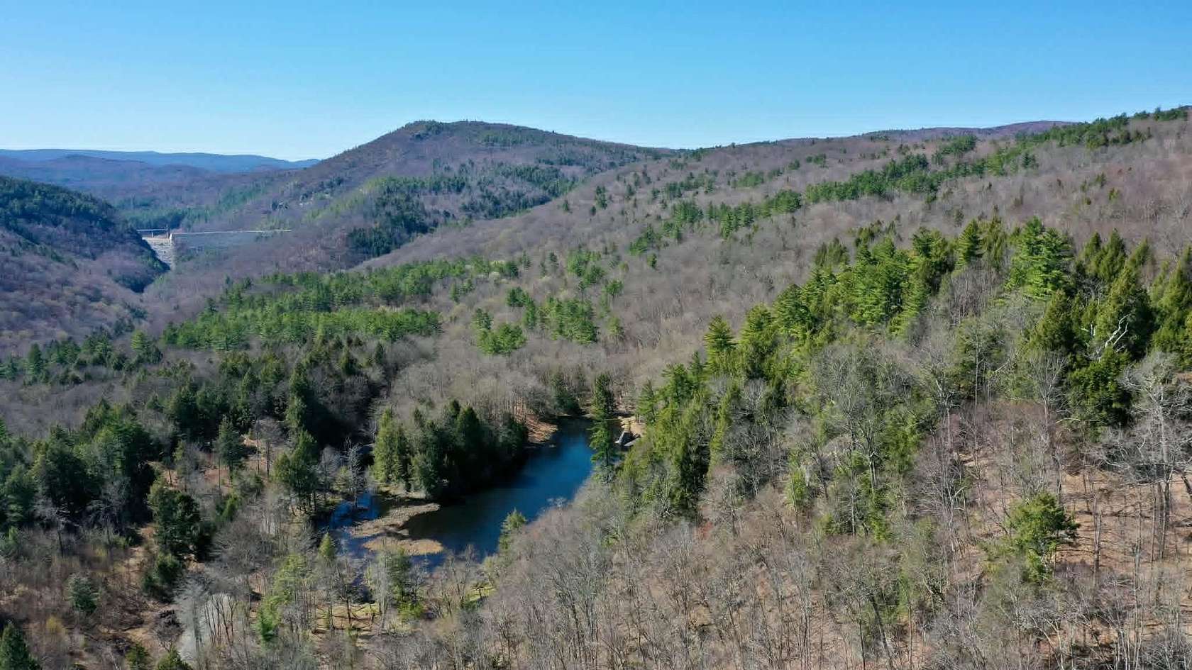 71 Acres of Recreational & Residential Land for Sale in Jamaica, Vermont