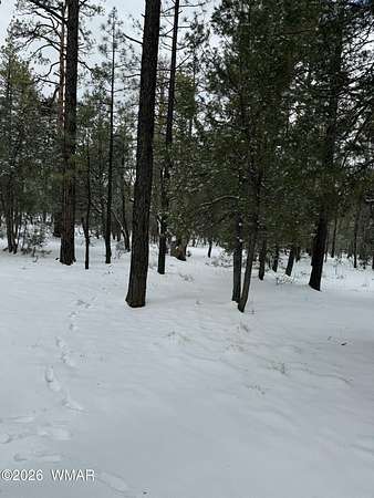 1 Acre of Residential Land for Sale in Lakeside, Arizona