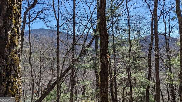 0.52 Acres of Land for Sale in Sky Valley, Georgia