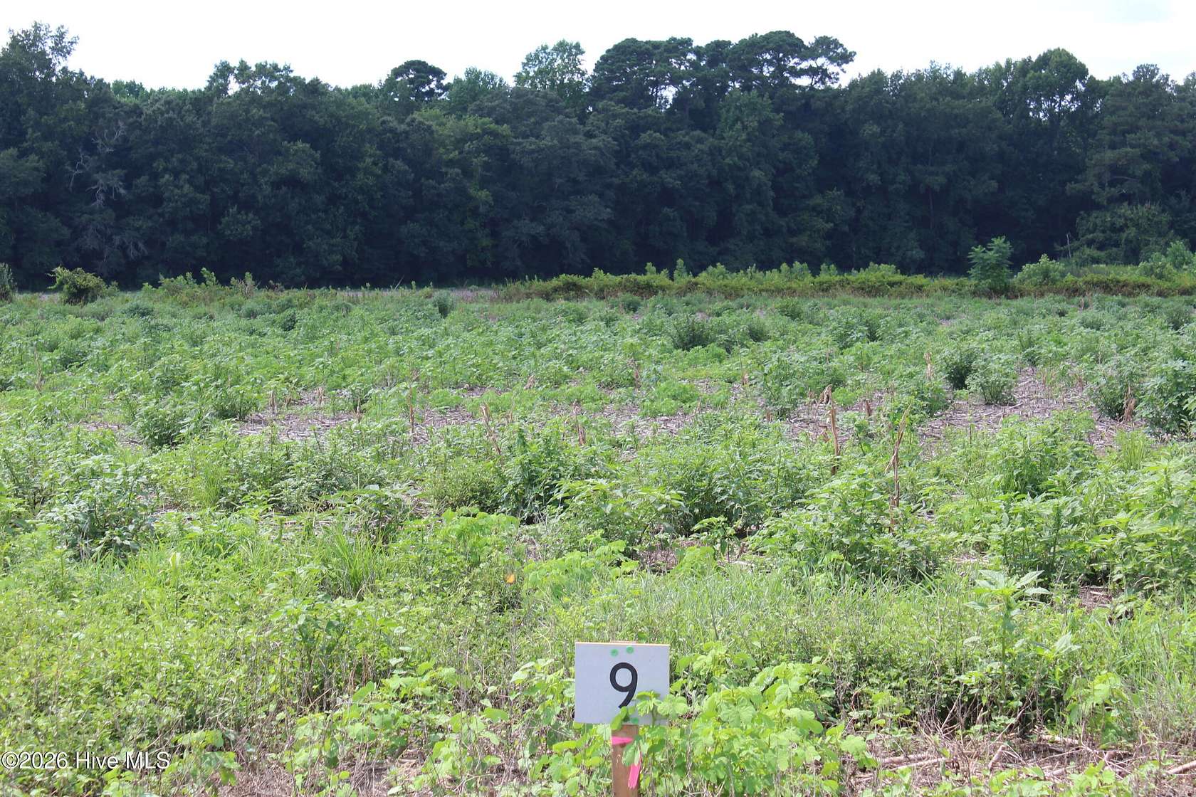 3.68 Acres of Residential Land for Sale in Kinston, North Carolina
