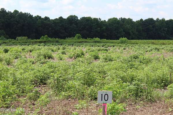 4.1 Acres of Residential Land for Sale in Kinston, North Carolina