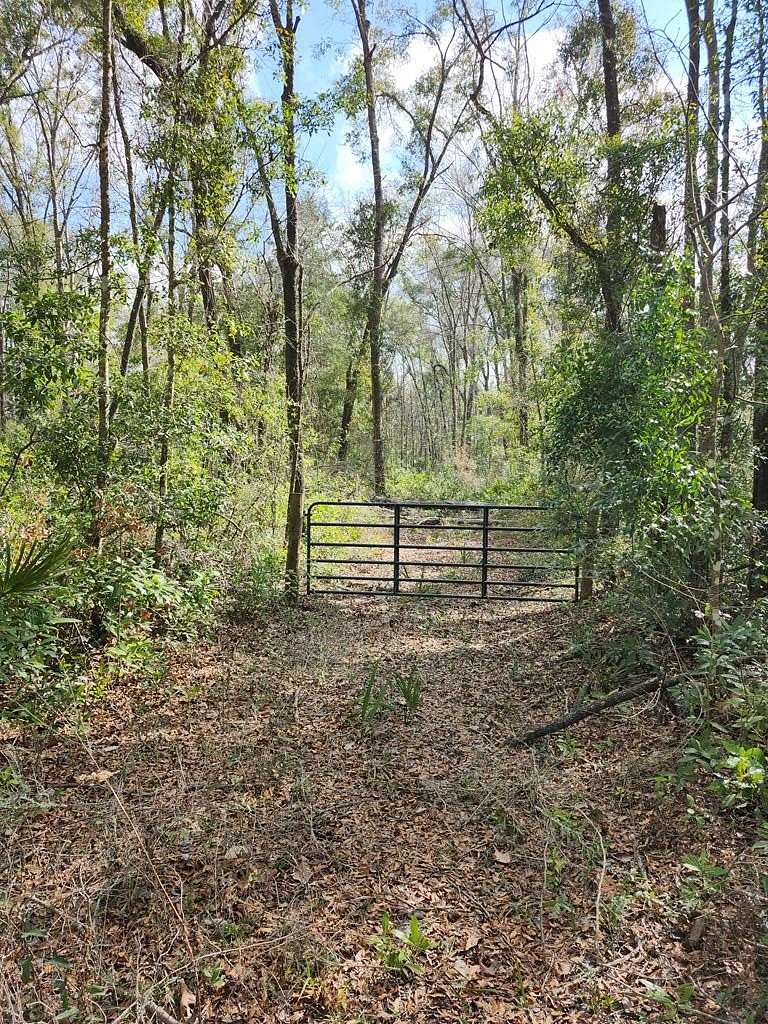 3 Acres of Residential Land for Sale in Old Town, Florida