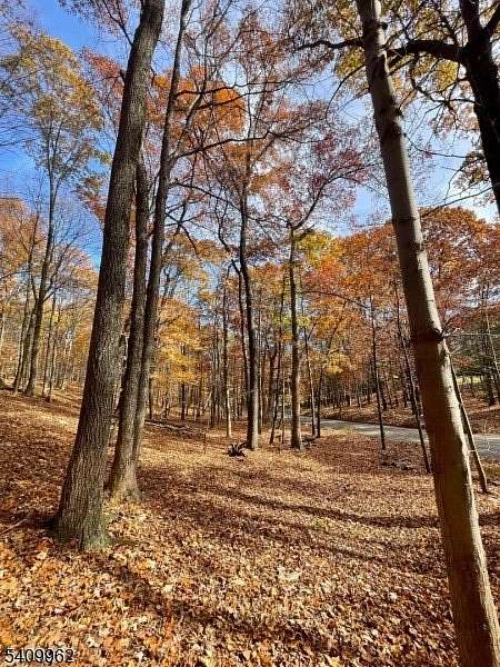 4.7 Acres of Residential Land for Sale in Stillwater Township, New Jersey