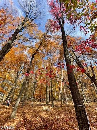 4.7 Acres of Residential Land for Sale in Stillwater Township, New Jersey