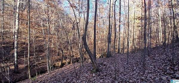 52.8 Acres of Recreational & Residential Land for Sale in Argo, Alabama