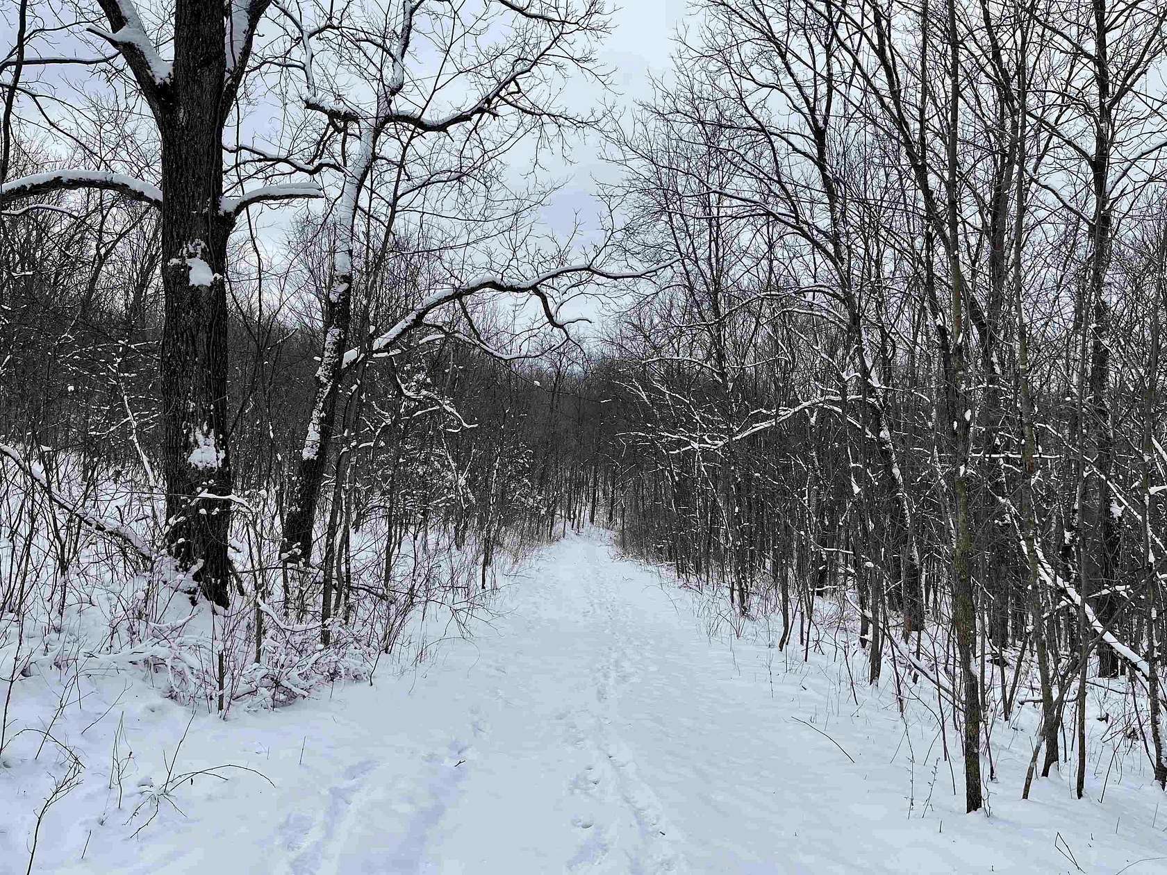 79 Acres of Land for Sale in Boscobel, Wisconsin