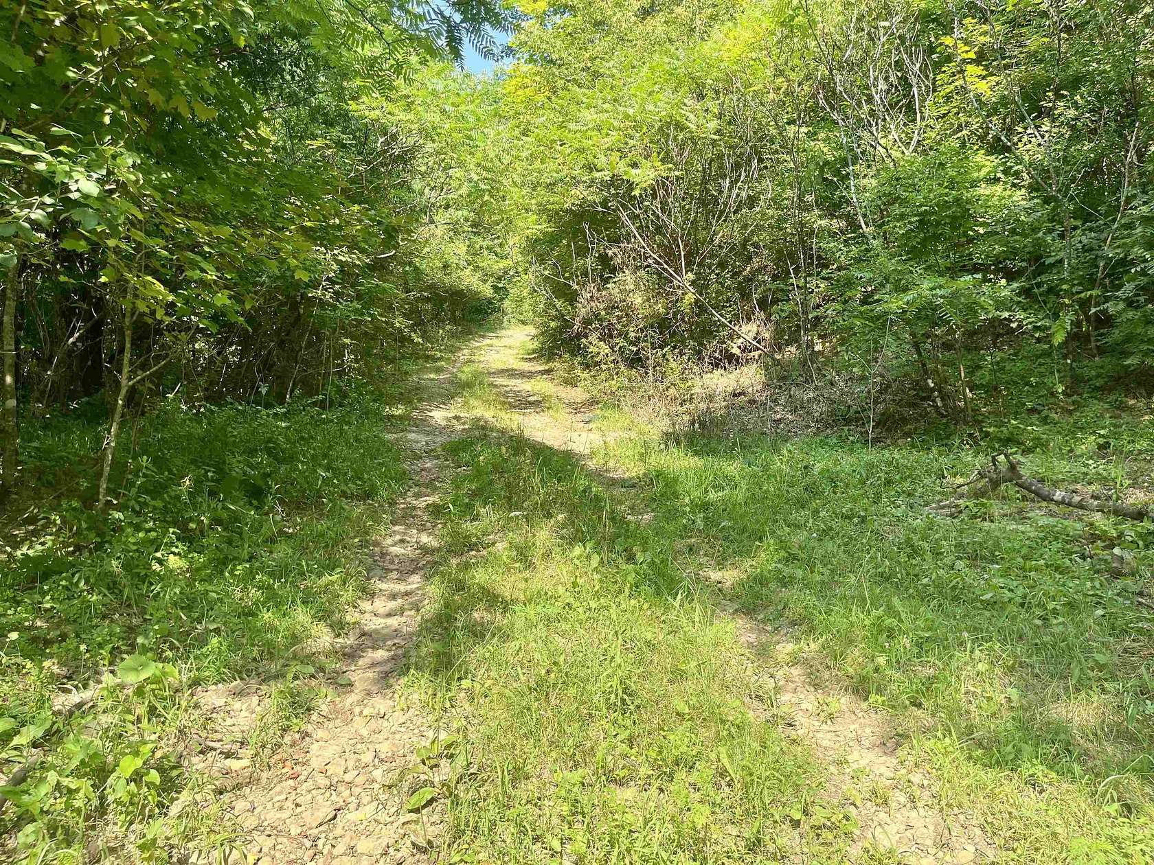 79 Acres of Land for Sale in Boscobel, Wisconsin