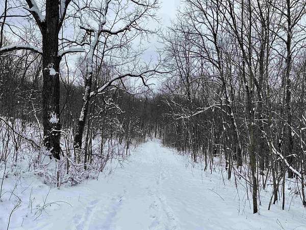 79 Acres of Recreational Land for Sale in Boscobel, Wisconsin
