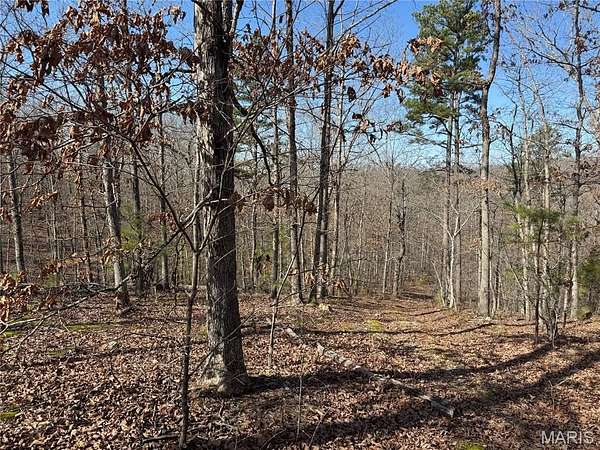 3.2 Acres of Residential Land for Sale in Annapolis, Missouri