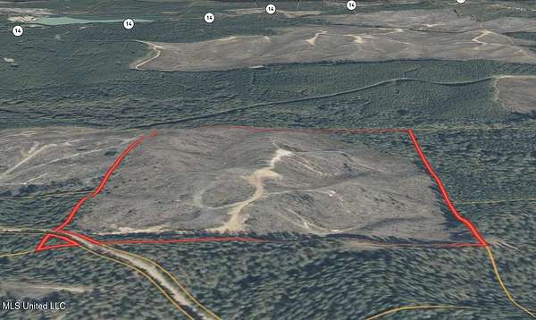60 Acres of Recreational Land for Sale in Sallis, Mississippi