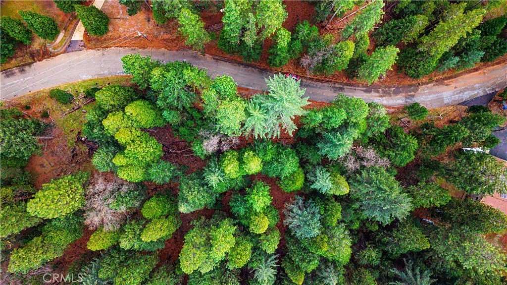 0.58 Acres of Residential Land for Sale in Grizzly Flats, California