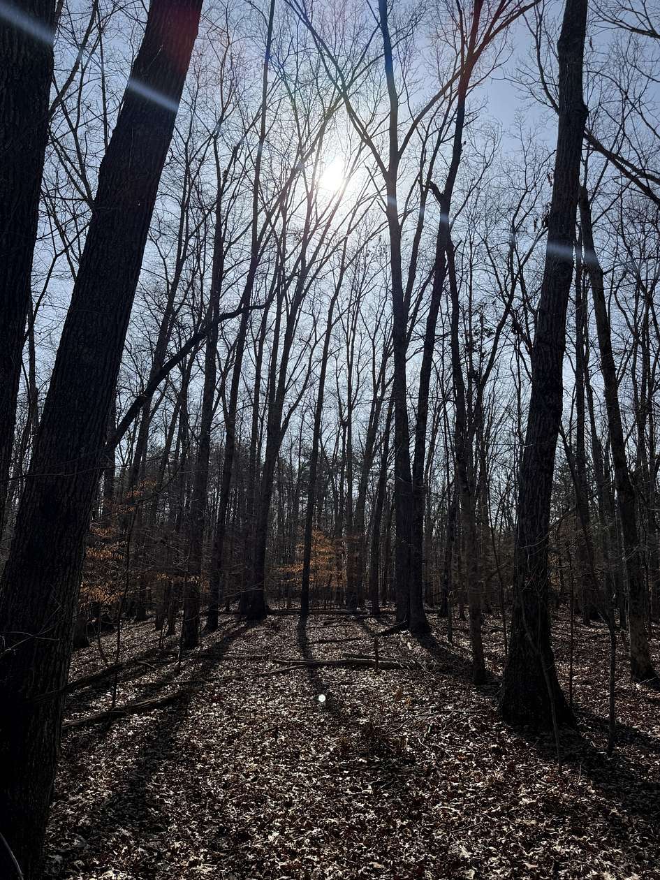 25 Acres of Land for Sale in Cookeville, Tennessee