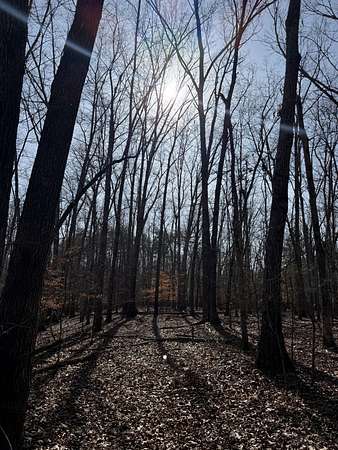 25 Acres of Land for Sale in Cookeville, Tennessee