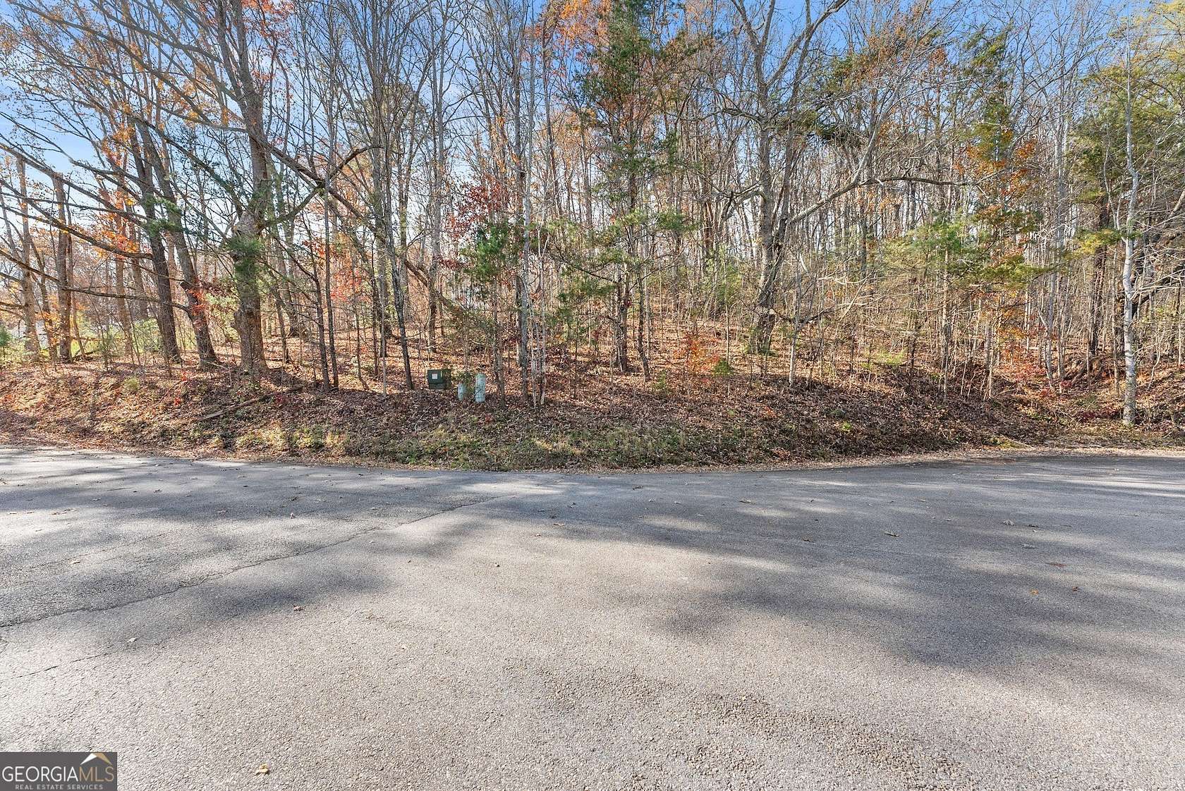 1.2 Acres of Residential Land for Sale in Cleveland, Georgia