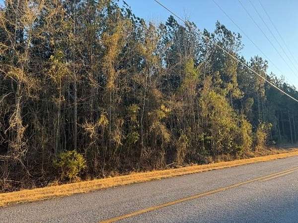 418 Acres of Recreational Land for Sale in Warrenton, Georgia