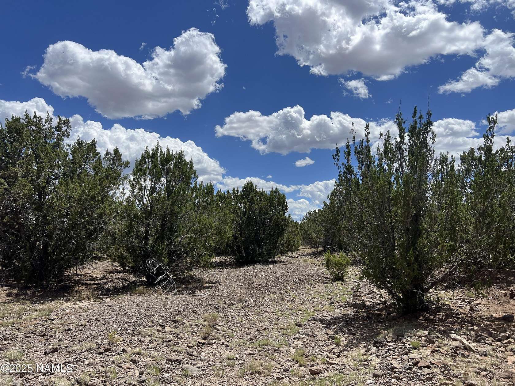 10 Acres of Land for Sale in Williams, Arizona