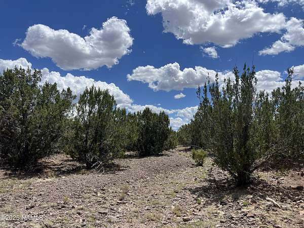 10 Acres of Land for Sale in Williams, Arizona