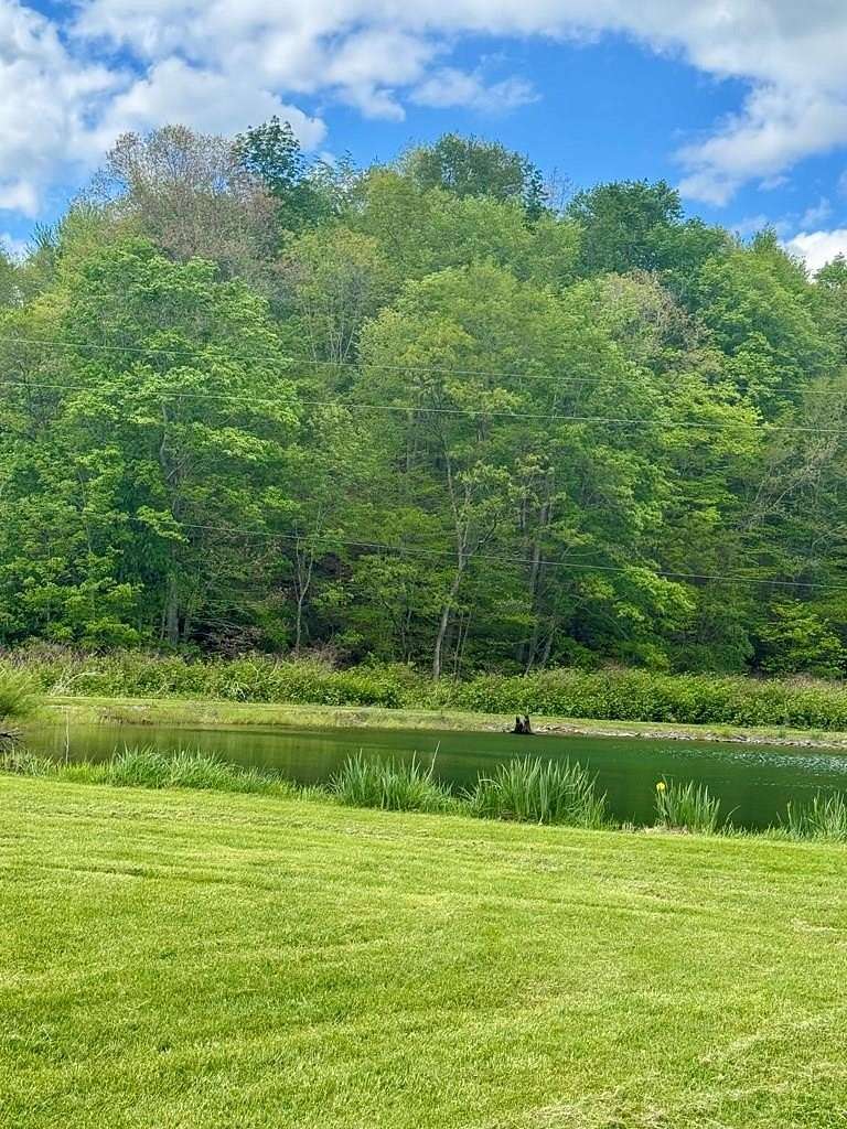 50 Acres of Recreational & Residential Land for Sale in Minford, Ohio