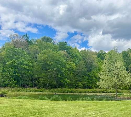 50 Acres of Recreational Land for Sale in Minford, Ohio
