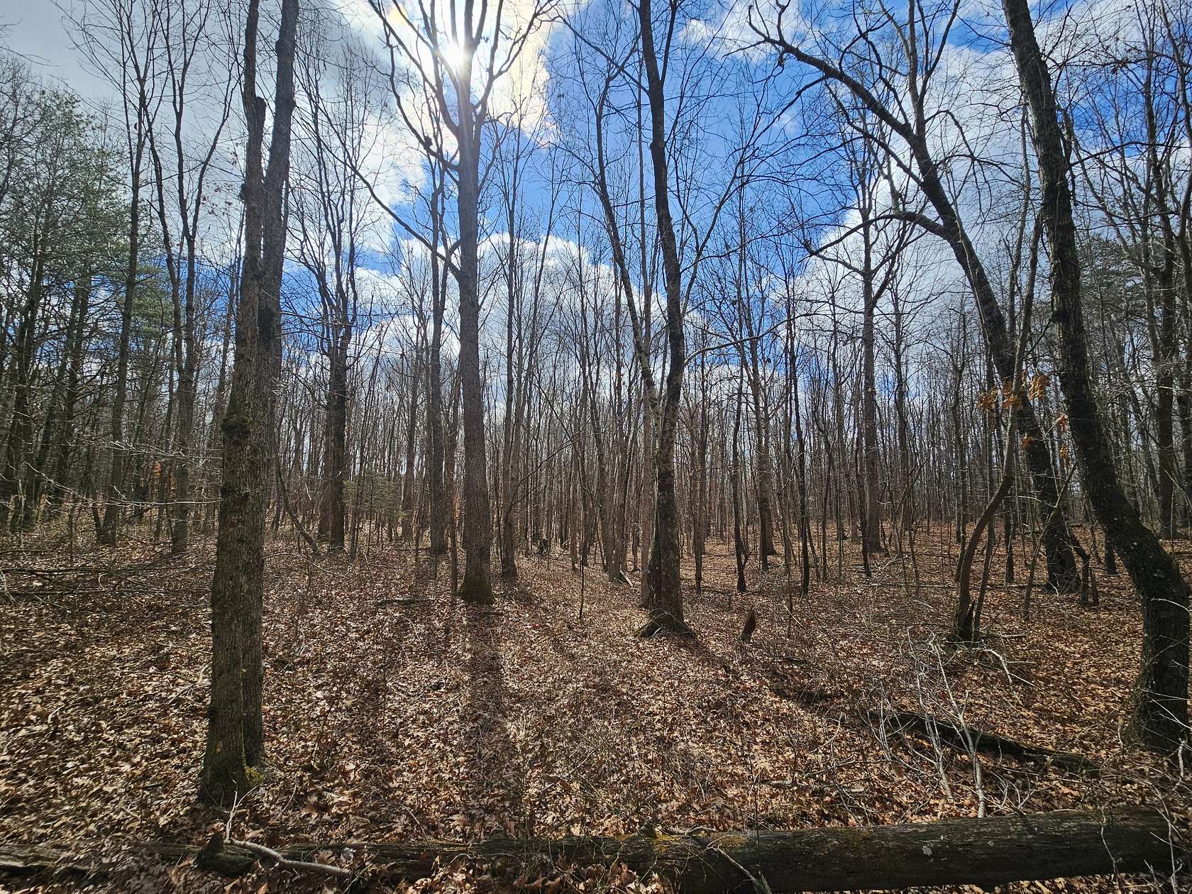 29.8 Acres of Land for Sale in Altamont, Tennessee