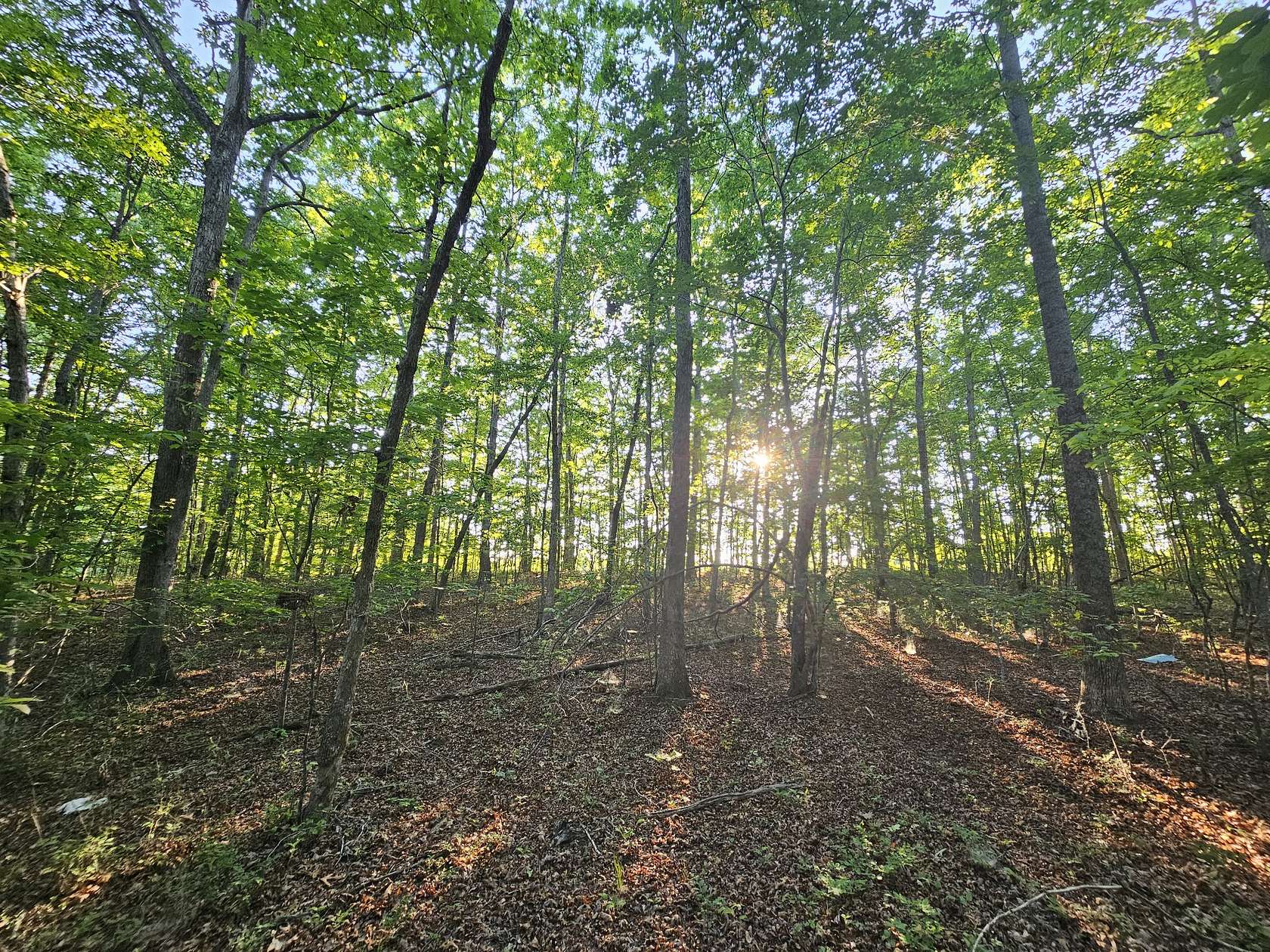 10 Acres of Residential Land for Sale in Altamont, Tennessee
