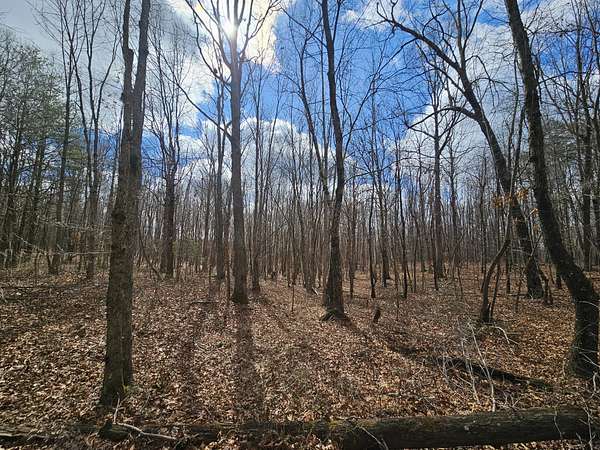 29.8 Acres of Land for Sale in Altamont, Tennessee