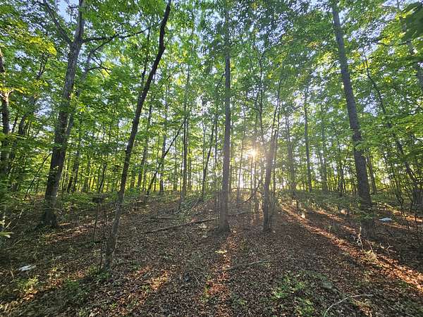 10 Acres of Residential Land for Sale in Altamont, Tennessee