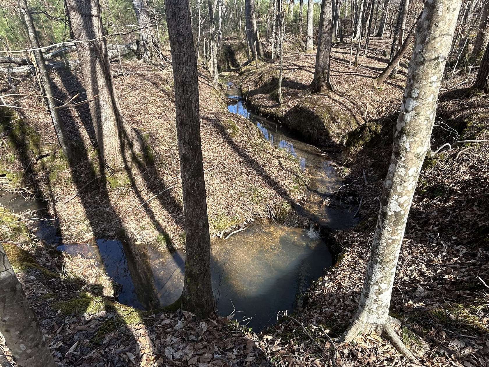 34 Acres of Land for Sale in Tishomingo, Mississippi