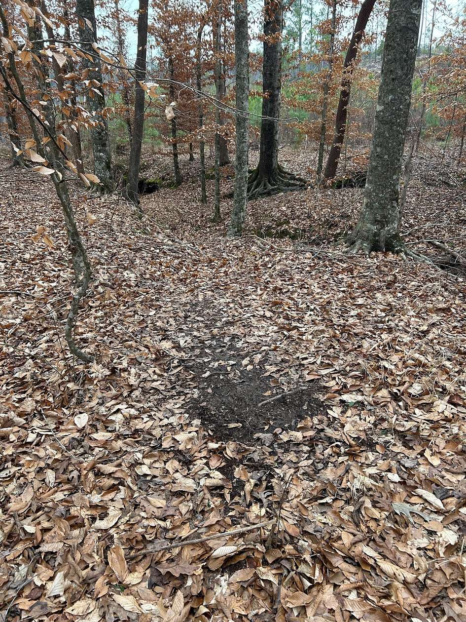 10 Acres of Land for Sale in Tishomingo, Mississippi