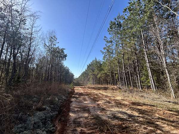 10 Acres of Land for Sale in Tishomingo, Mississippi