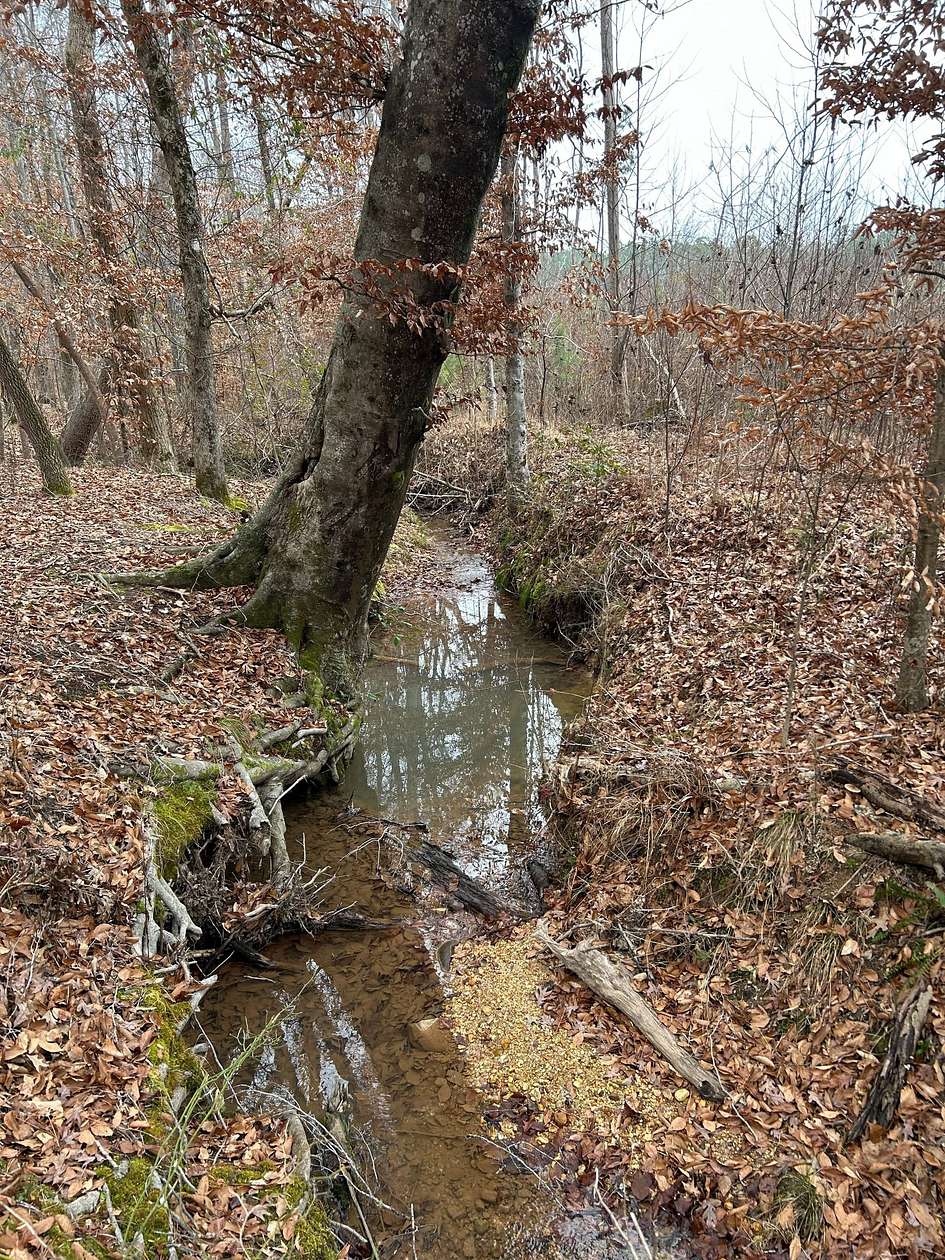 44.2 Acres of Land for Sale in Tishomingo, Mississippi