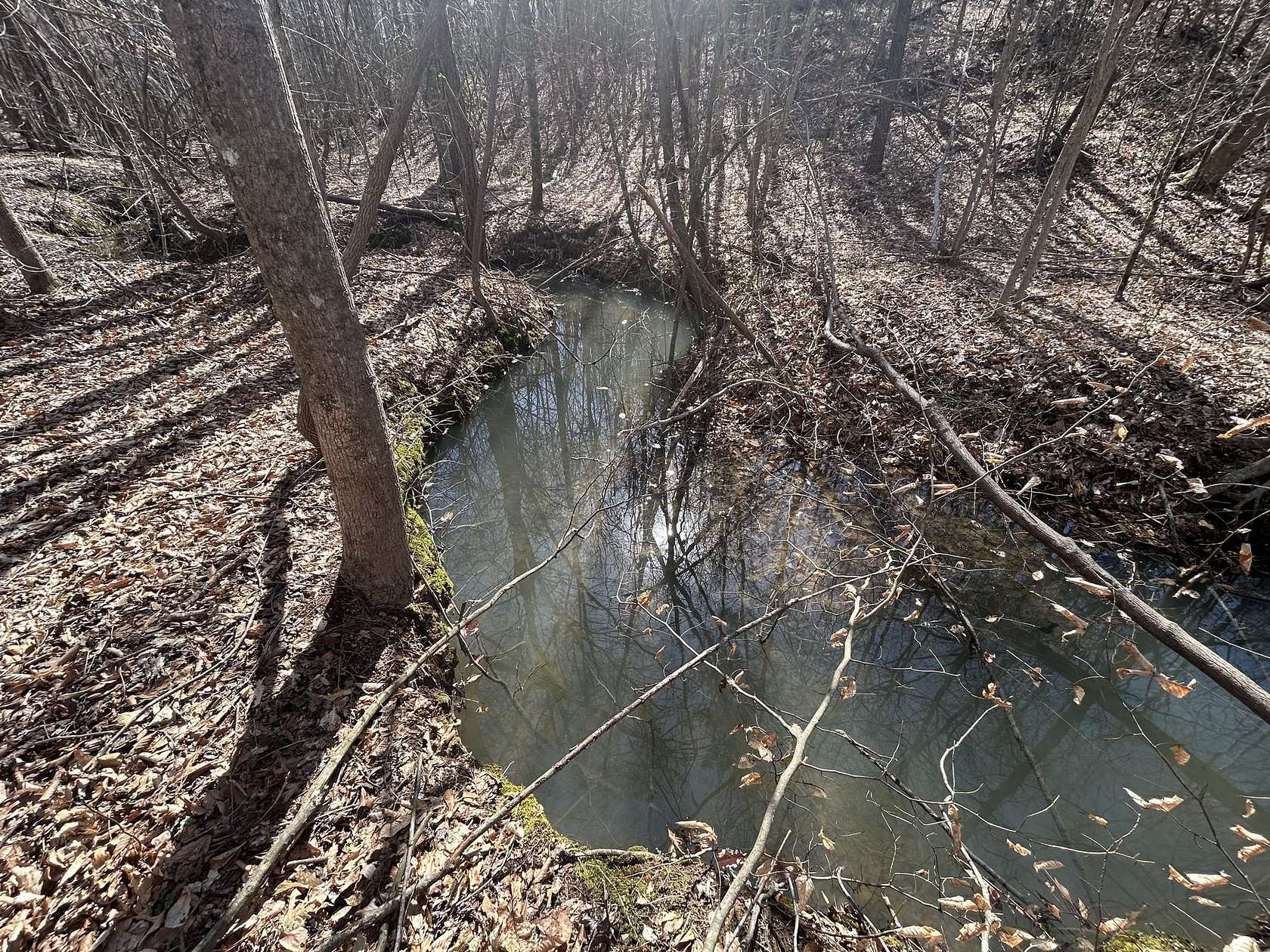 44.2 Acres of Land for Sale in Tishomingo, Mississippi