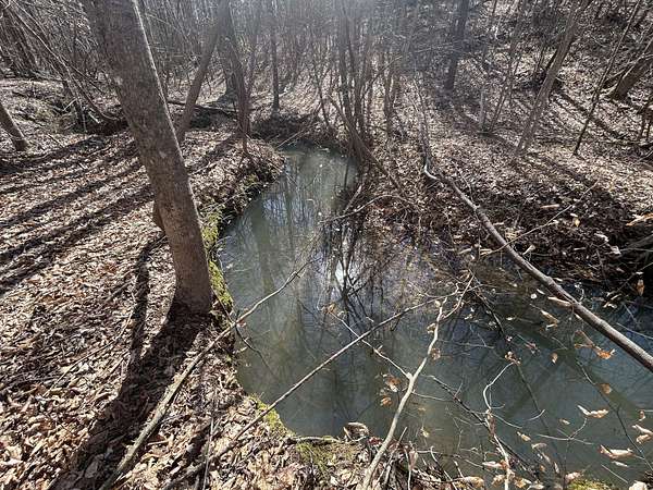 44.2 Acres of Land for Sale in Tishomingo, Mississippi