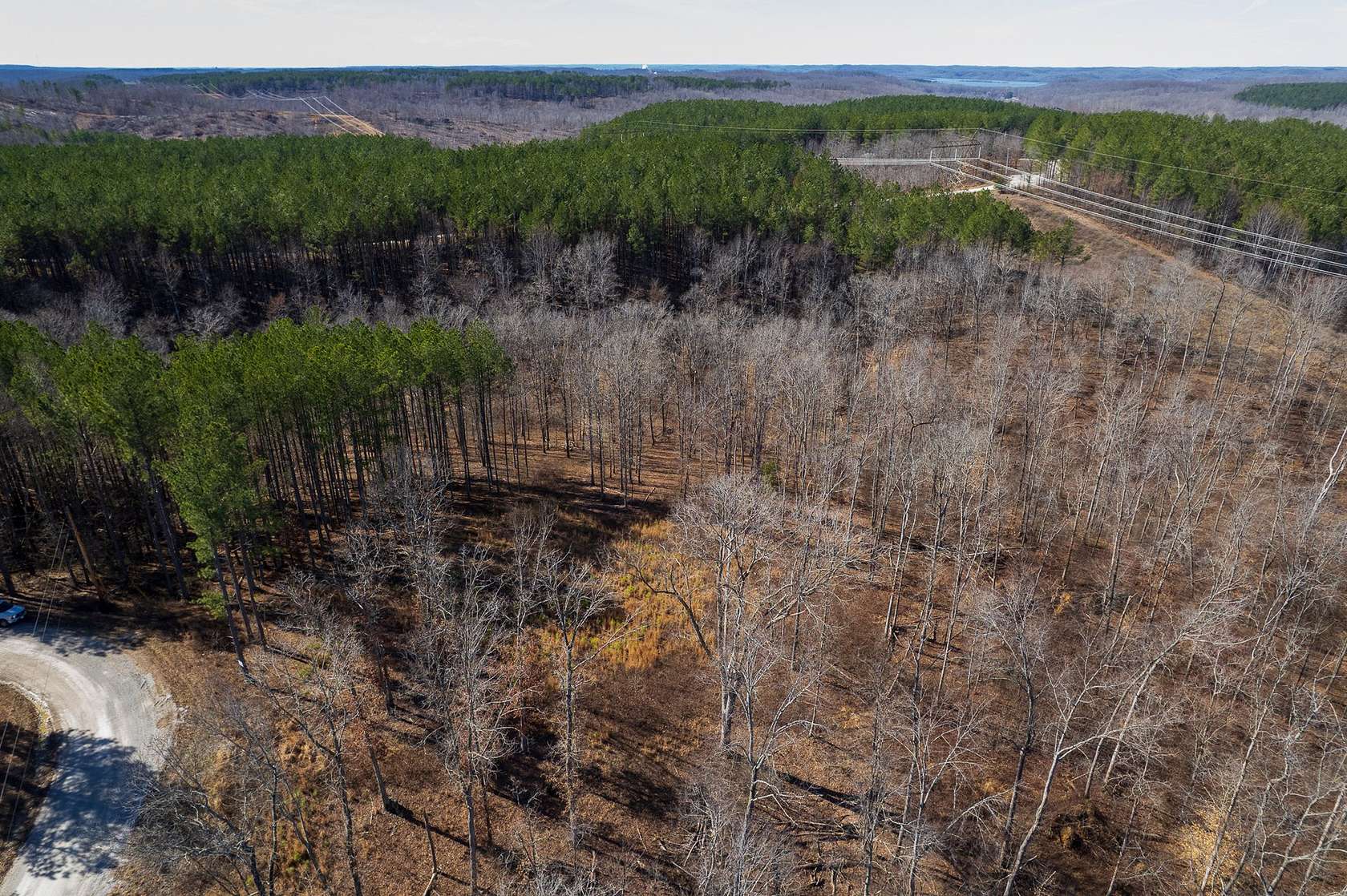 28.6 Acres of Recreational & Residential Land for Sale in Waverly, Tennessee