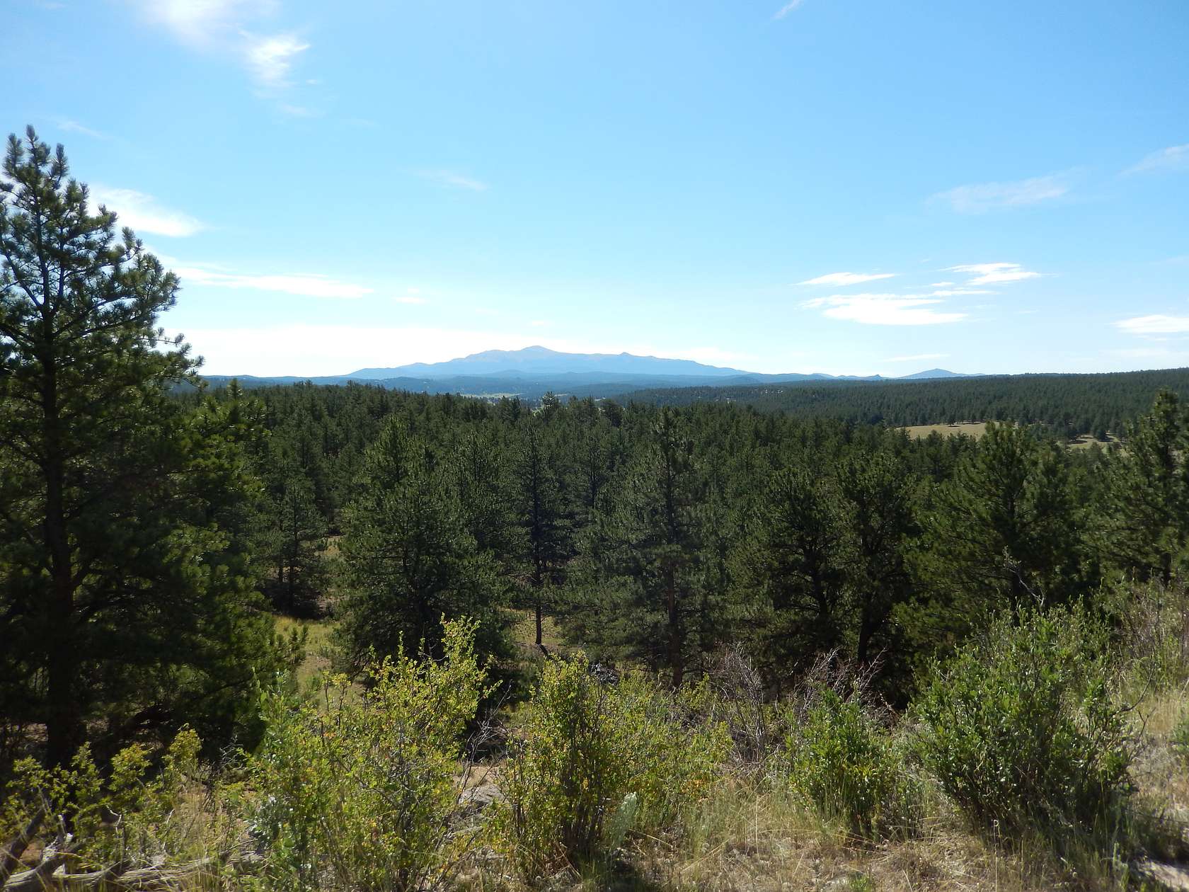 41.3 Acres of Land for Sale in Lake George, Colorado