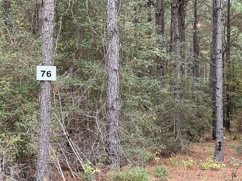 6 Acres of Residential Land for Sale in Broaddus, Texas