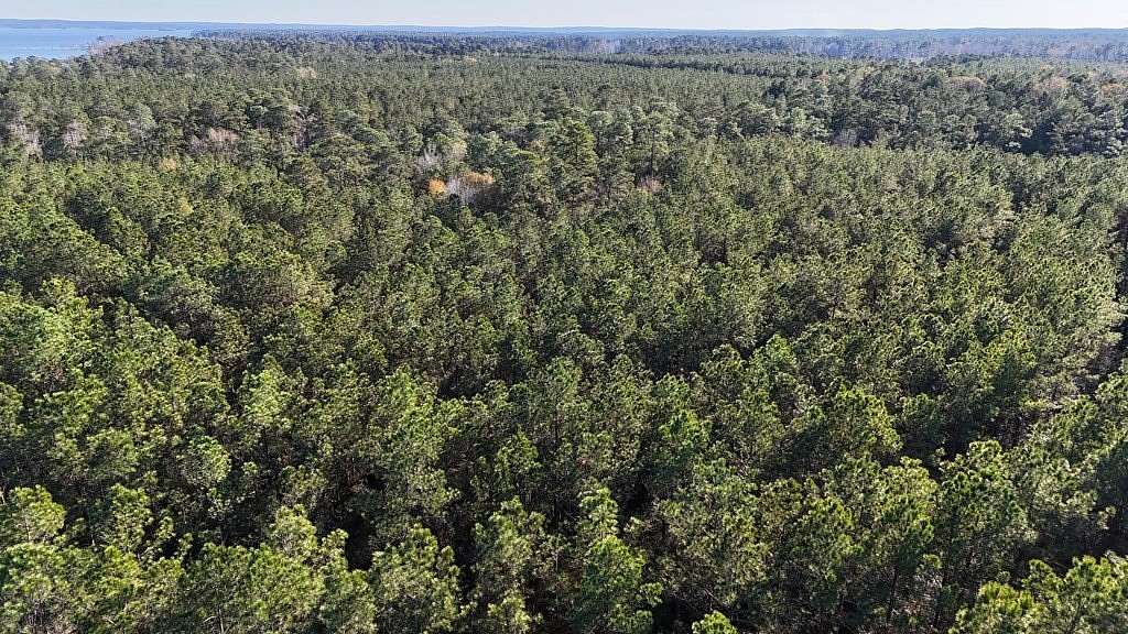 9.37 Acres of Residential Land for Sale in Broaddus, Texas