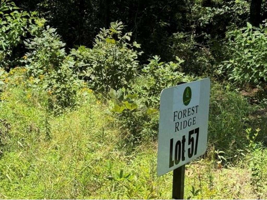 15.3 Acres of Land for Sale in Center, Texas