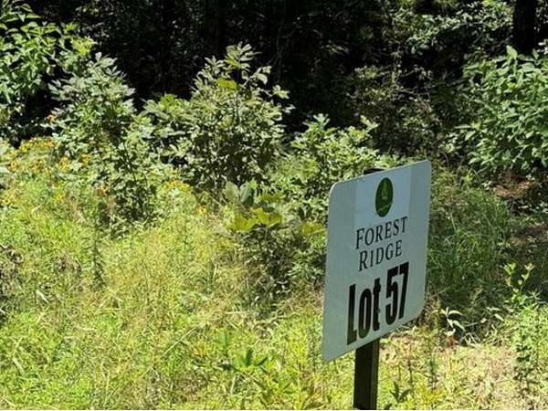 15.3 Acres of Land for Sale in Center, Texas