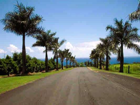 1.63 Acres of Residential Land for Sale in Pepeekeo, Hawaii