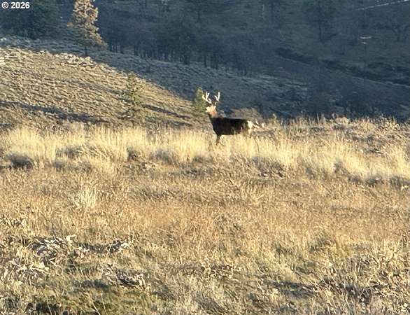 20 Acres of Recreational Land for Sale in Goldendale, Washington