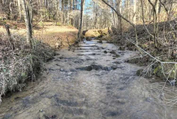5.15 Acres of Land for Sale in Ellijay, Georgia