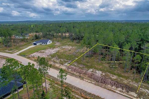 0.55 Acres of Residential Land for Sale in Brookeland, Texas