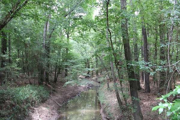 120 Acres of Recreational & Residential Land for Sale in Livingston, Texas