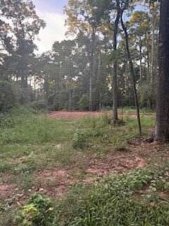 0.29 Acres of Residential Land for Sale in Hemphill, Texas
